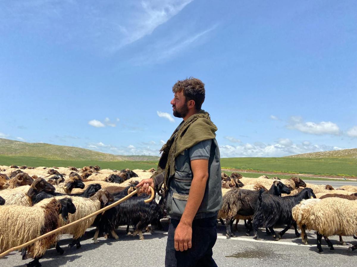 A message for elders, wannabe elders and those who are led by them (Acts&nbsp;20:28-32)