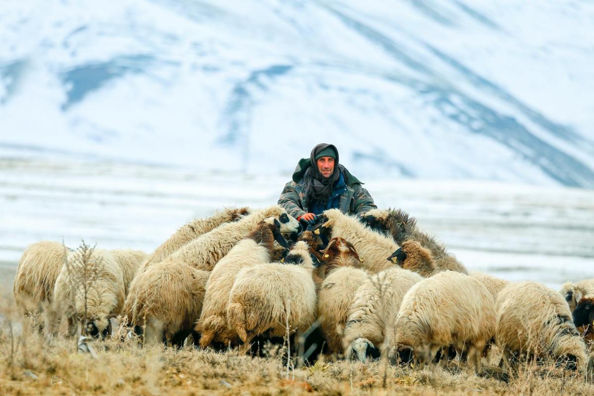 Elders and leadership