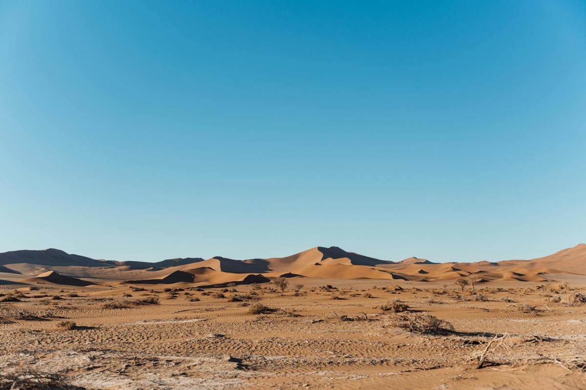 Does God desert&nbsp;us?