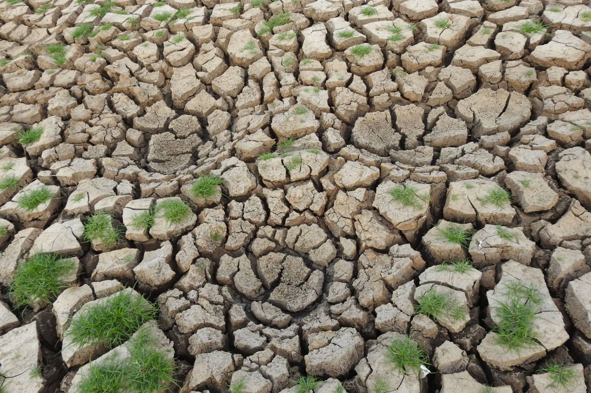 Is Climate alarmism&nbsp;dangerous?