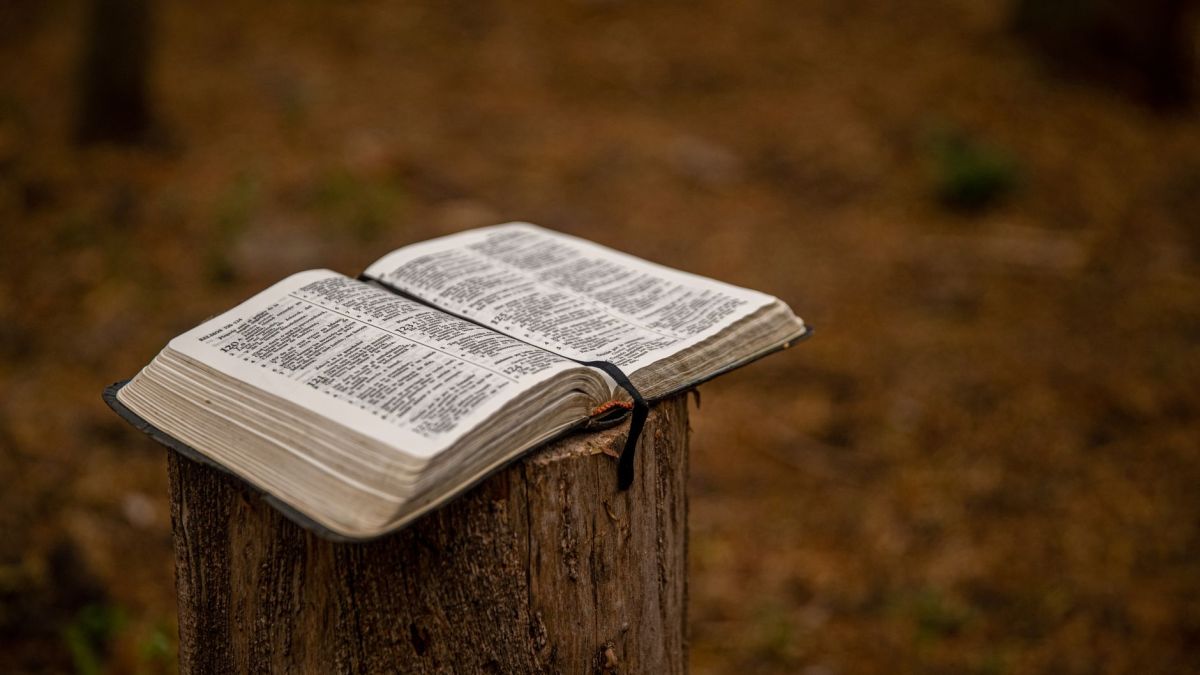 Romans 6:12-14