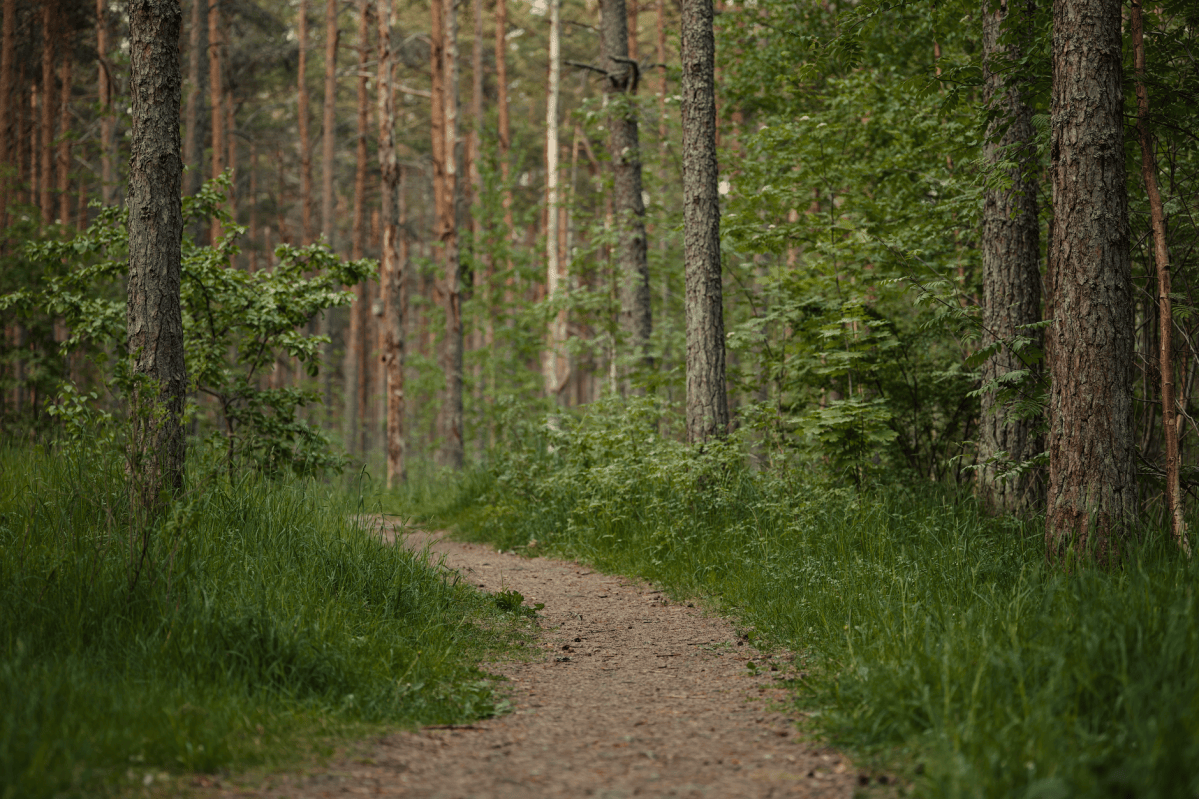 Keep in step with the&nbsp;Spirit