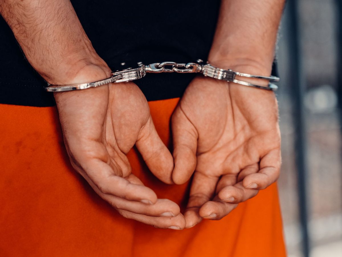Live streamed executions?